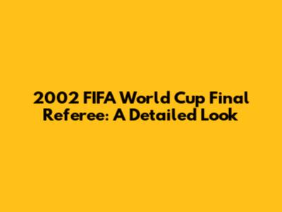 2002 FIFA World Cup Final Referee: A Detailed Look