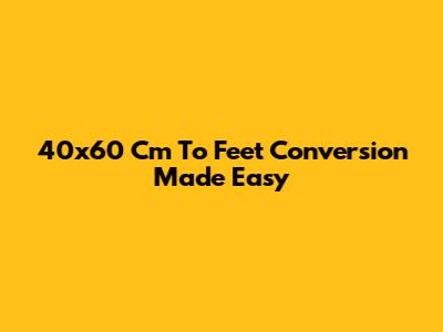 40x60 Cm To Feet Conversion Made Easy