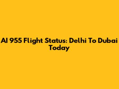 AI 955 Flight Status: Delhi To Dubai Today