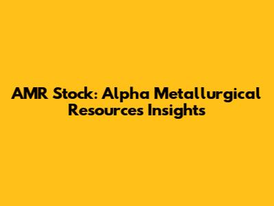 AMR Stock: Alpha Metallurgical Resources Insights