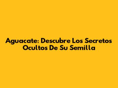 Aguacate: Descubre Los Secretos Ocultos De Su Semilla