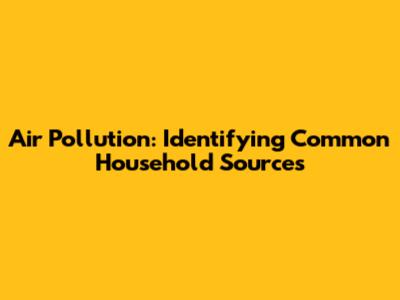 Air Pollution: Identifying Common Household Sources