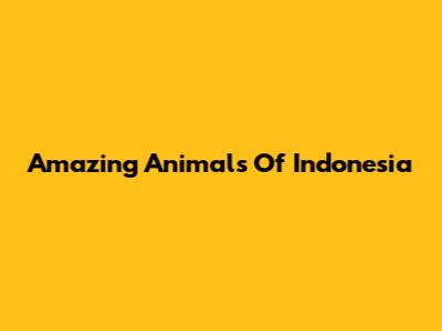 Amazing Animals Of Indonesia