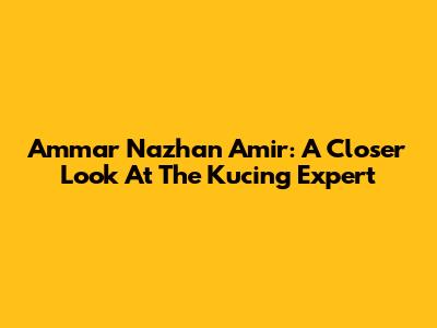 Ammar Nazhan Amir: A Closer Look At The Kucing Expert