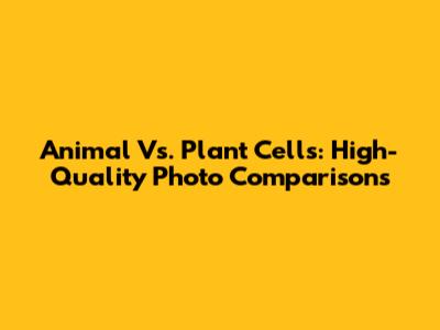 Animal Vs. Plant Cells: High-Quality Photo Comparisons