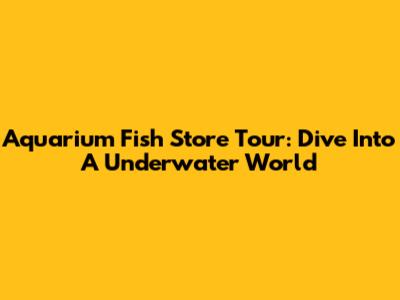 Aquarium Fish Store Tour: Dive Into A Underwater World