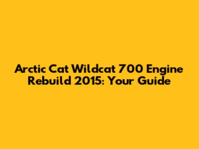 Arctic Cat Wildcat 700 Engine Rebuild 2015: Your Guide