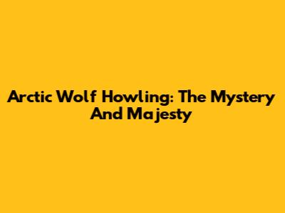 Arctic Wolf Howling: The Mystery And Majesty