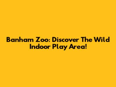 Banham Zoo: Discover The Wild Indoor Play Area!