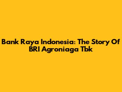 Bank Raya Indonesia: The Story Of BRI Agroniaga Tbk