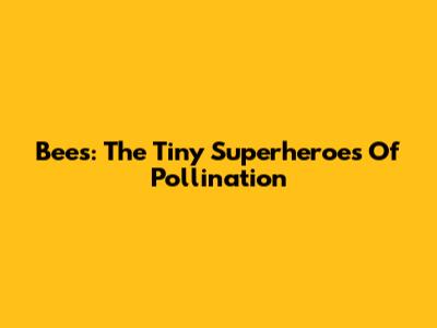 Bees: The Tiny Superheroes Of Pollination