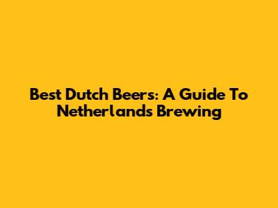 Best Dutch Beers: A Guide To Netherlands Brewing