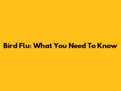 Bird Flu: What You Need To Know