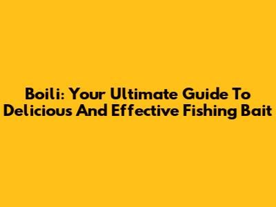 Boili: Your Ultimate Guide To Delicious And Effective Fishing Bait