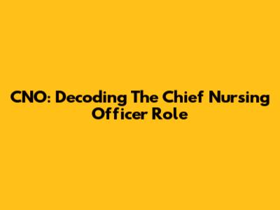 CNO: Decoding The Chief Nursing Officer Role