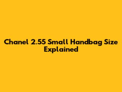 Chanel 2.55 Small Handbag Size Explained