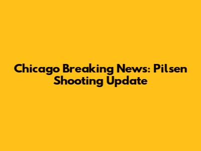Chicago Breaking News: Pilsen Shooting Update