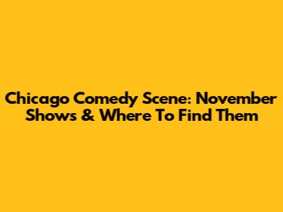 Chicago Comedy Scene: November Shows & Where To Find Them