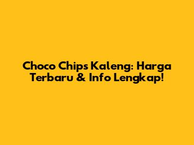 Choco Chips Kaleng: Harga Terbaru & Info Lengkap!