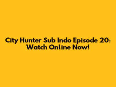 City Hunter Sub Indo Episode 20: Watch Online Now!
