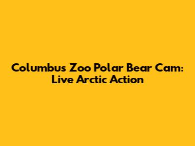 Columbus Zoo Polar Bear Cam: Live Arctic Action