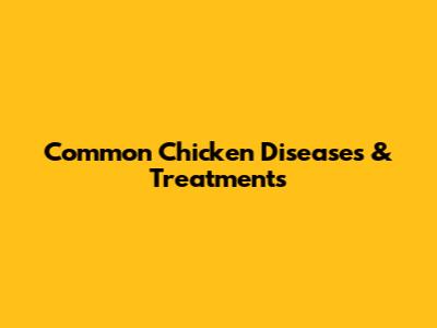 Common Chicken Diseases & Treatments