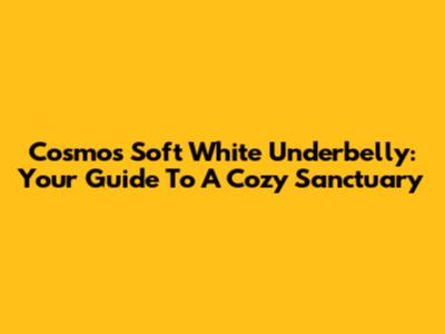 Cosmo's Soft White Underbelly: Your Guide To A Cozy Sanctuary