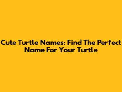 Cute Turtle Names: Find The Perfect Name For Your Turtle