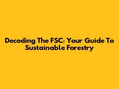 Decoding The FSC: Your Guide To Sustainable Forestry