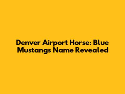 Denver Airport Horse: Blue Mustang's Name Revealed