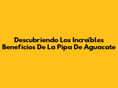 Descubriendo Los Increíbles Beneficios De La Pipa De Aguacate