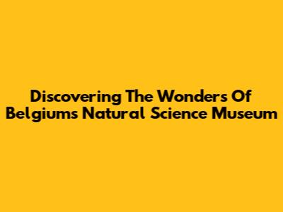 Discovering The Wonders Of Belgium's Natural Science Museum
