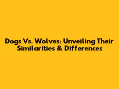 Dogs Vs. Wolves: Unveiling Their Similarities & Differences
