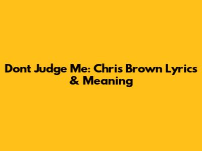 Don't Judge Me: Chris Brown Lyrics & Meaning