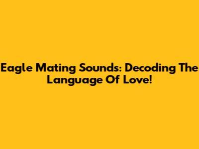 Eagle Mating Sounds: Decoding The Language Of Love!
