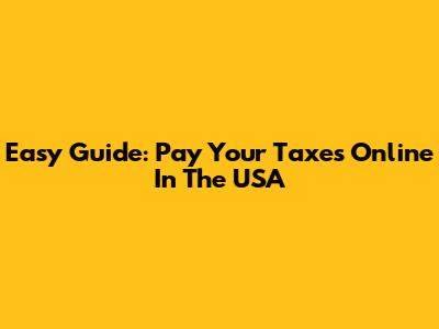 Easy Guide: Pay Your Taxes Online In The USA