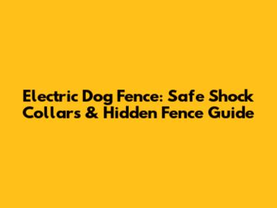 Electric Dog Fence: Safe Shock Collars & Hidden Fence Guide