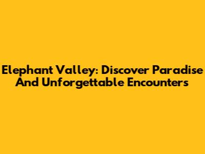 Elephant Valley: Discover Paradise And Unforgettable Encounters