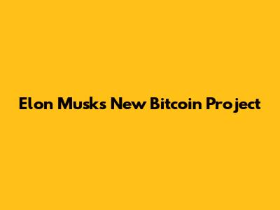 Elon Musk's New Bitcoin Project