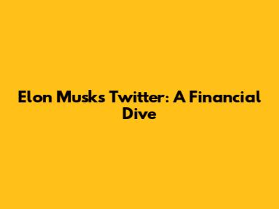 Elon Musk's Twitter: A Financial Dive