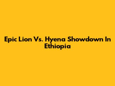 Epic Lion Vs. Hyena Showdown In Ethiopia
