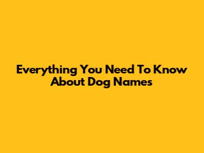 Everything You Need To Know About Dog Names