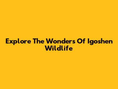 Explore The Wonders Of Igoshen Wildlife