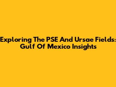 Exploring The PSE And Ursae Fields: Gulf Of Mexico Insights