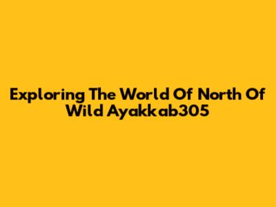 Exploring The World Of North Of Wild Ayakkab305