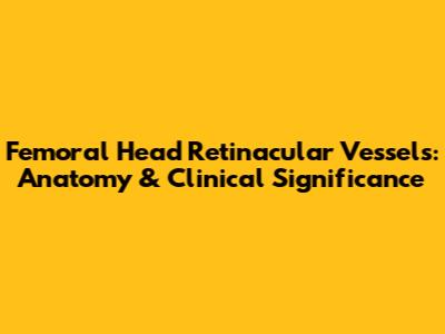 Femoral Head Retinacular Vessels: Anatomy & Clinical Significance