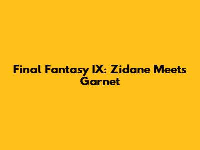 Final Fantasy IX: Zidane Meets Garnet
