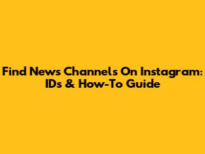 Find News Channels On Instagram: IDs & How-To Guide