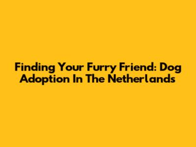 Finding Your Furry Friend: Dog Adoption In The Netherlands