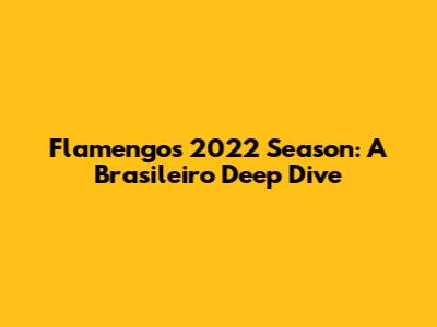 Flamengo's 2022 Season: A Brasileiro Deep Dive